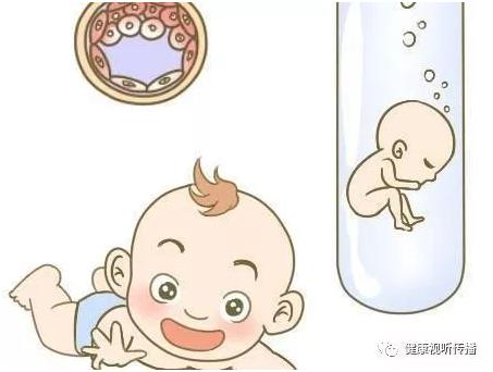 陈若晴 副院长