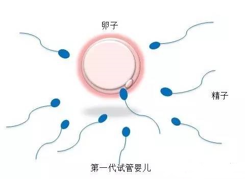 光愈生殖医学中心